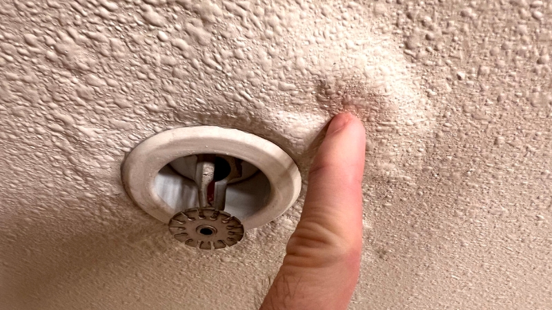 שלבי העבודה בשיקום נזקי מים לאחר הצפה או רטיבות